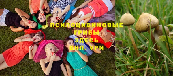 ешки Армянск