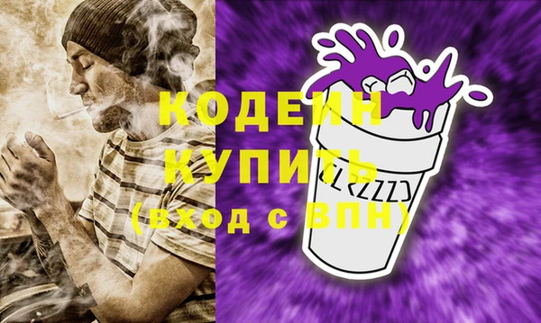 apvp Инсар