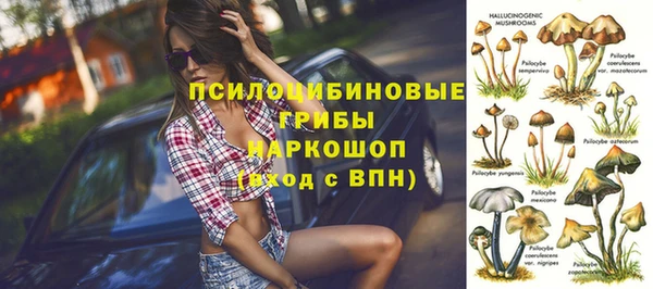 ешки Армянск